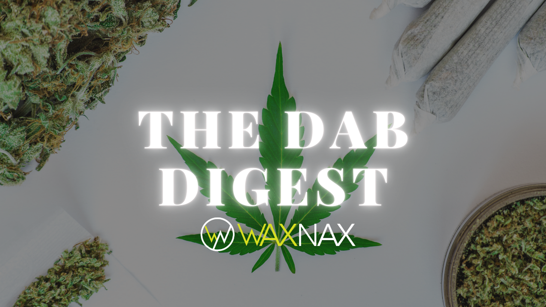 Why Rotating Cannabinoids and Terpenes Improves Your Experience