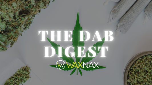 Why Rotating Cannabinoids and Terpenes Improves Your Experience