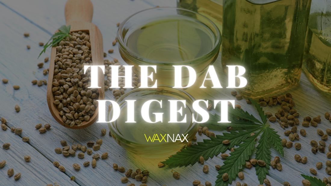 Hemp: The Plant That Keeps on Giving