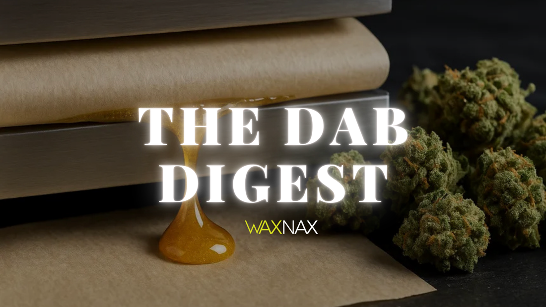 What It Means to Be a Cannabis Connoisseur