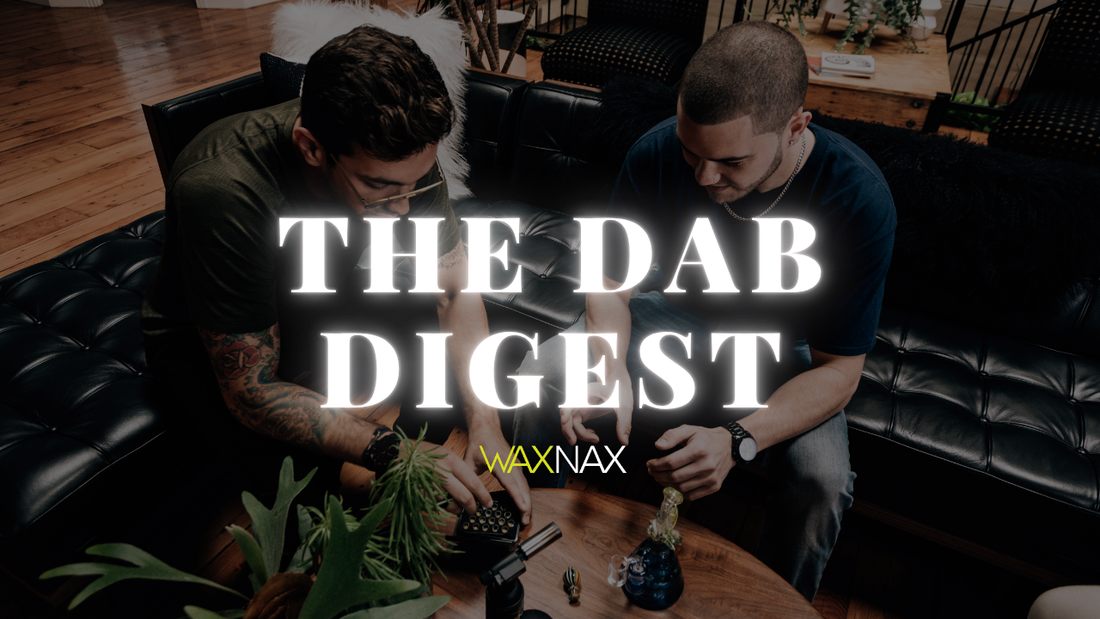 10 Questions Beginners Always Ask About Dabbing