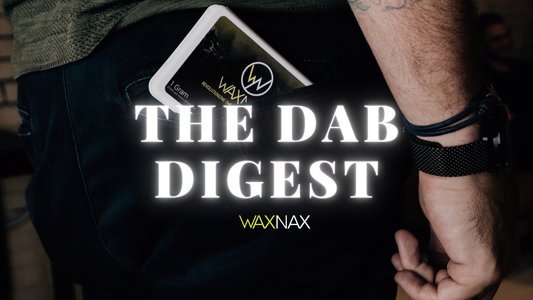Elevating the Plant into a Premium Lifestyle