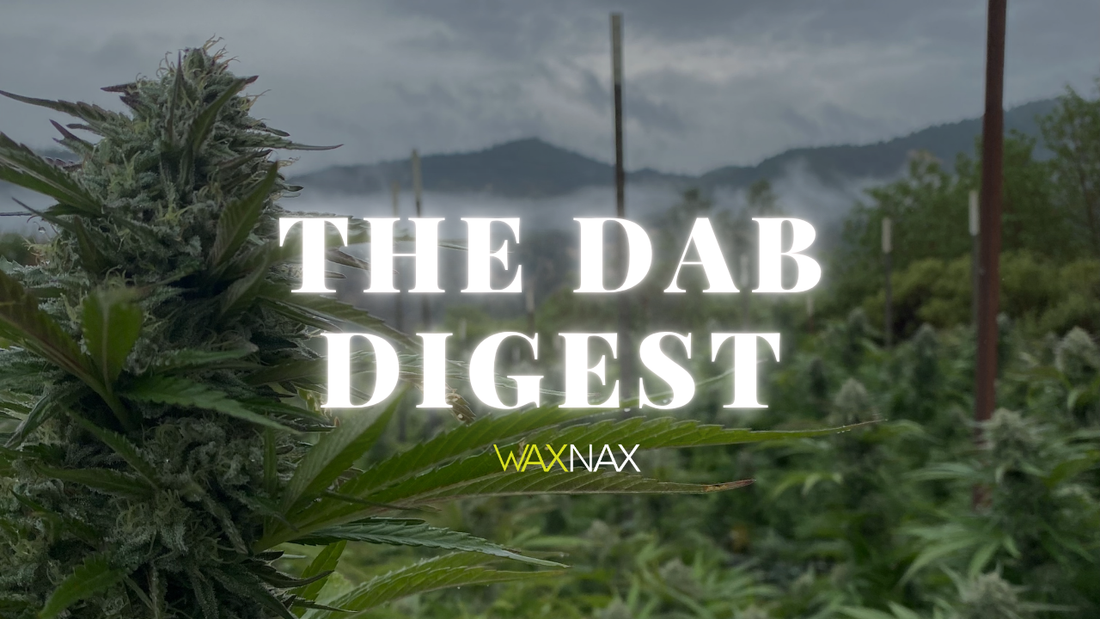 The Dab Digest #155