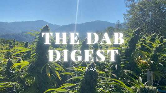 What Schedule III Means for Cannabis