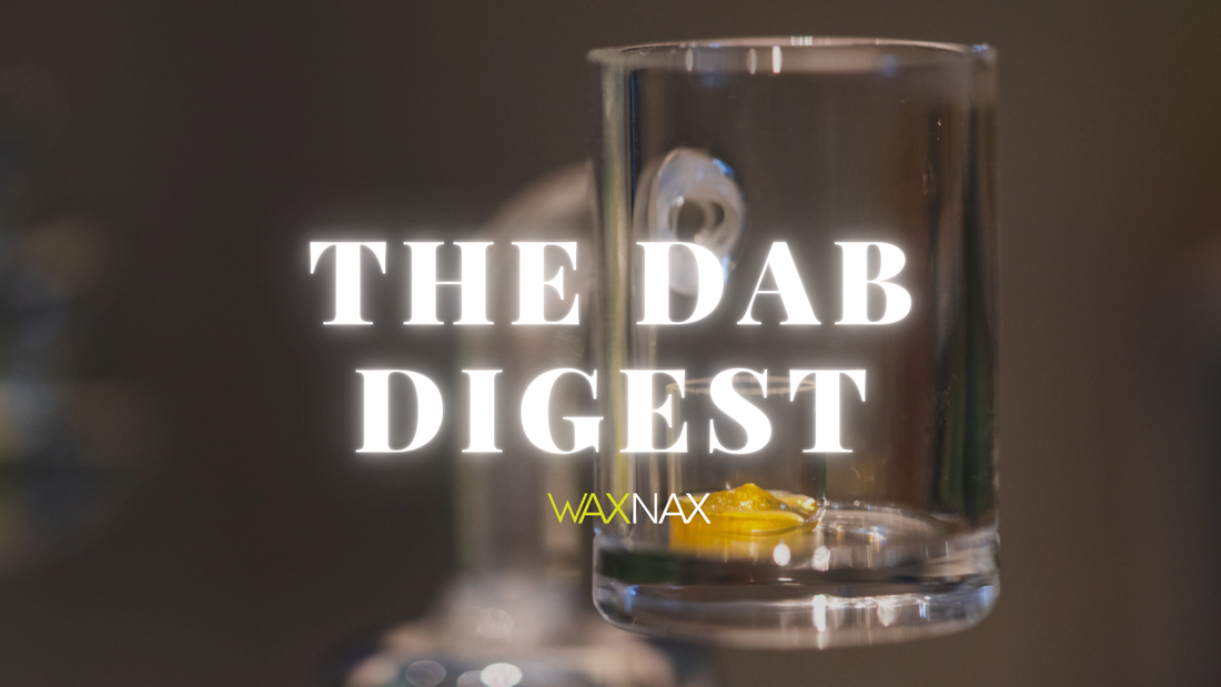 A WaxNax Refresher: Why We Exist and What We’re Really About