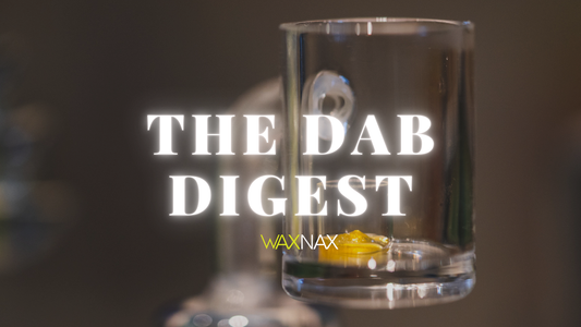 A WaxNax Refresher: Why We Exist and What We’re Really About