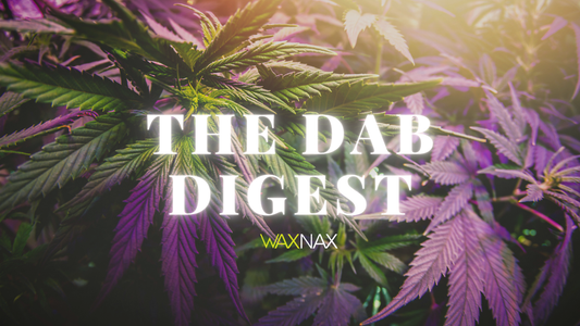 Exploring the World of Cannabinoids