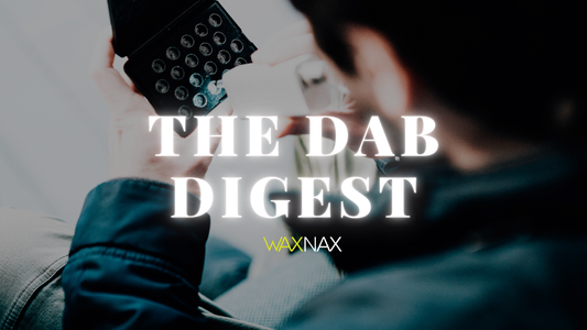 Festival & Travel Dabbing