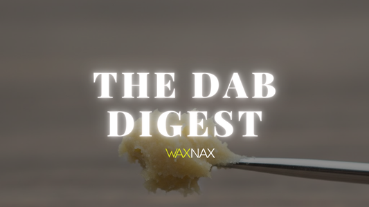 Understanding Concentrates, Potency, and the Modern Consumer