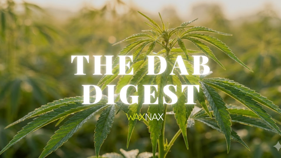 Minor Cannabinoids