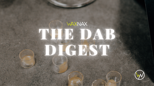 Dab Digest #1