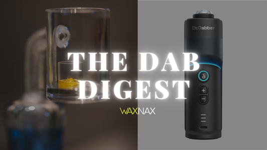 Torch vs. E-Rig: Which Is Right for Dabbing?