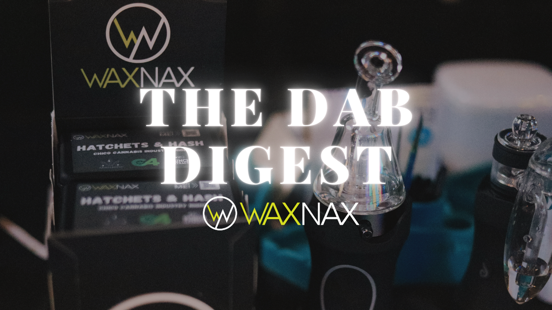 The Evolution of Electronic Rigs - Dr. Dabber, PuffCo, Focus V, and the Convenience of WaxNax