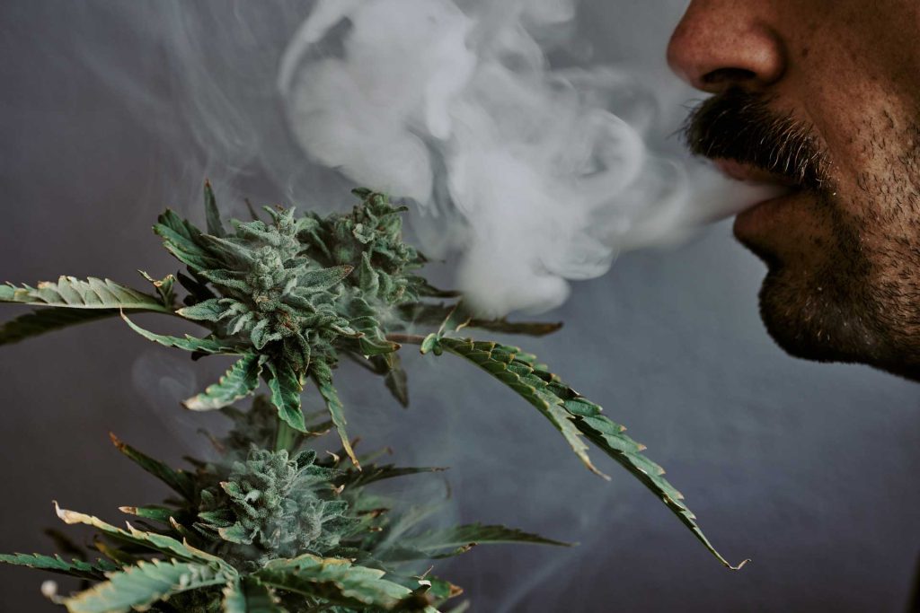 man flowing smoke onto cannabis flower