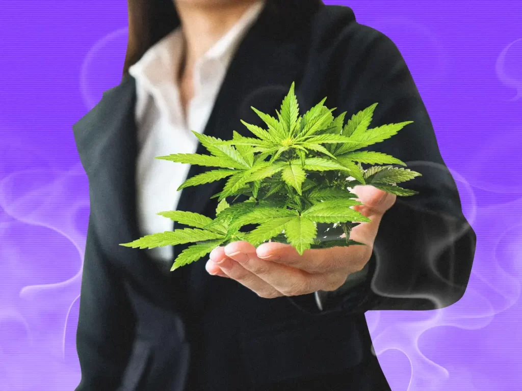 cannabis-investor-flower