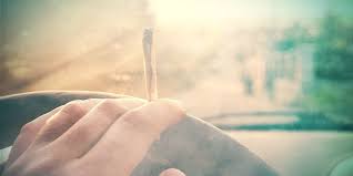 person holding cannabis joint while driving