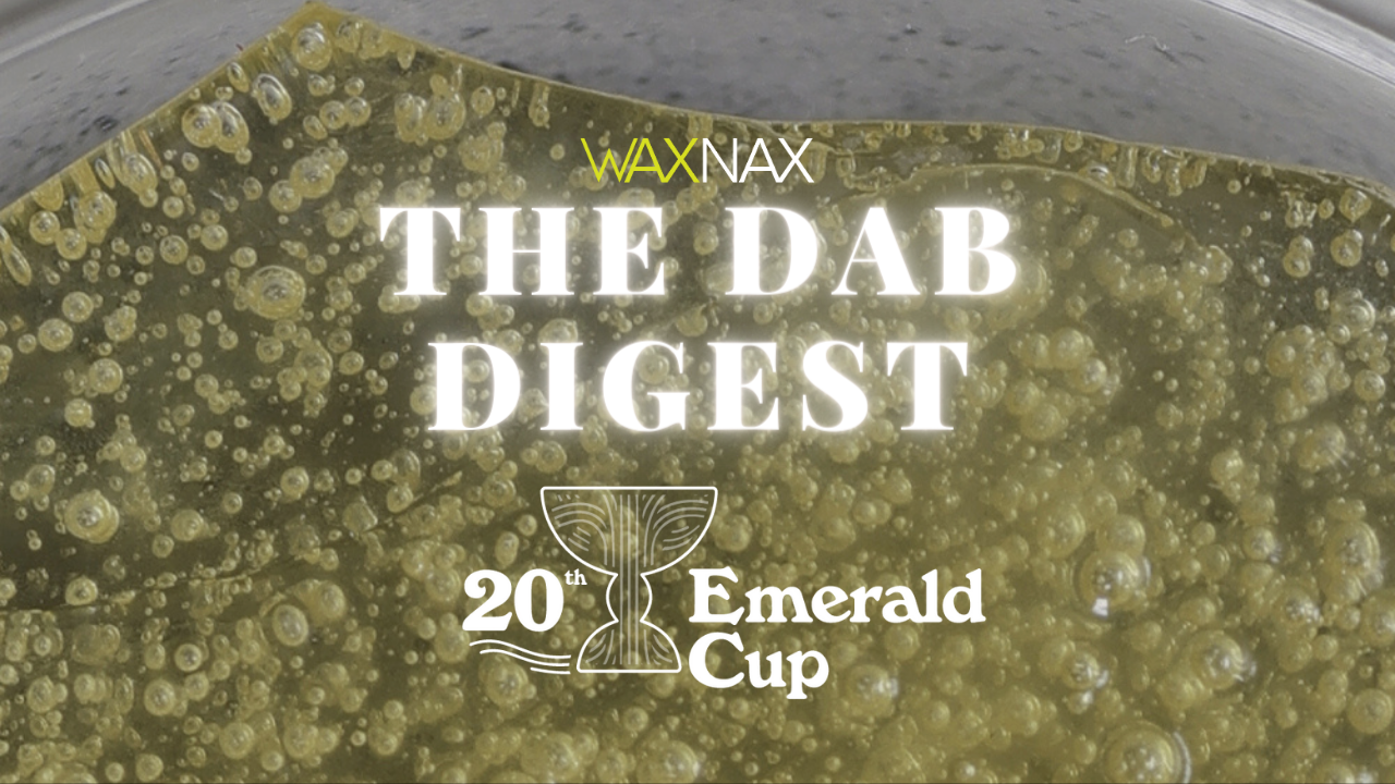 The Dab Digest: 2023 Emerald Cup Winners