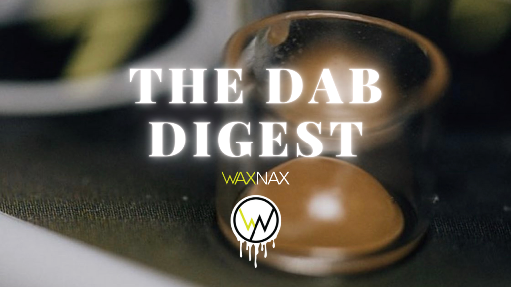 How to Dab Using WaxNax